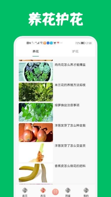 识花养花软件下载,识花养花,养花app,资讯app
