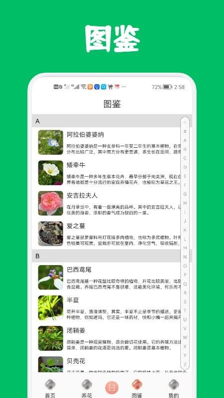 识花养花软件下载,识花养花,养花app,资讯app